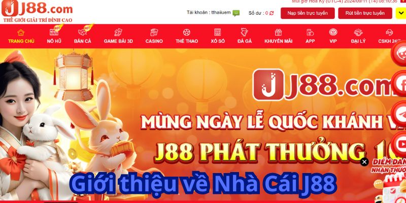 Dịch vụ cá cược phong phú